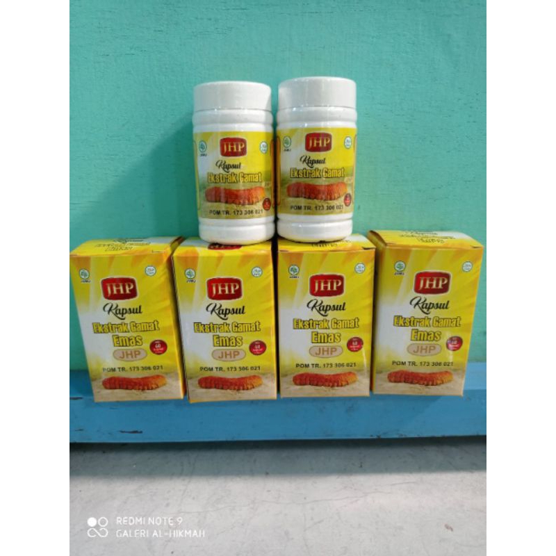 Kapsul Ekstrak Gamat Emas | Gamat Gold | JHP | isi 60 kapsul