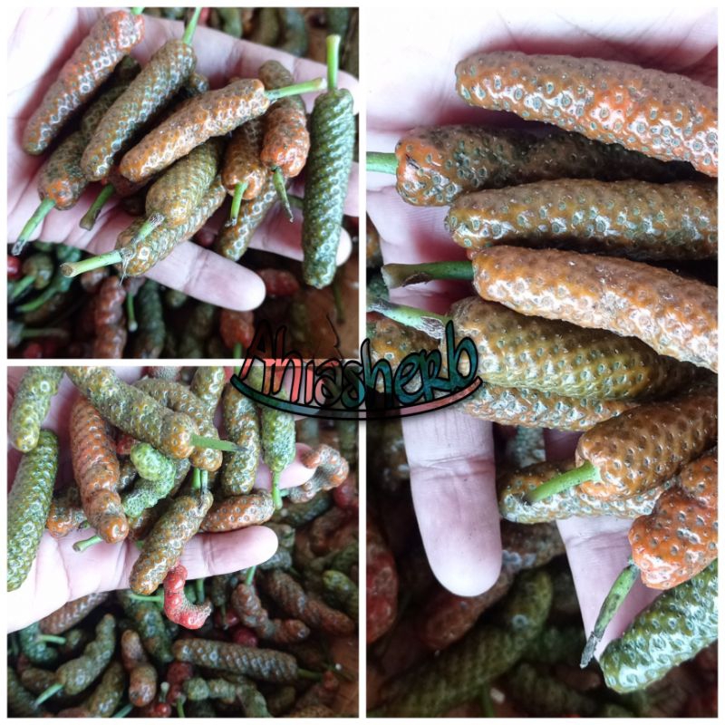 Cabe Jawa Segar / Cabai Jawa Fresh