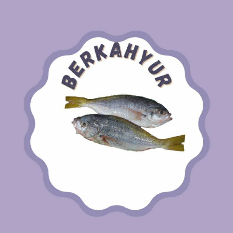 

Ikan Ekor Kuning -+ 1 KG