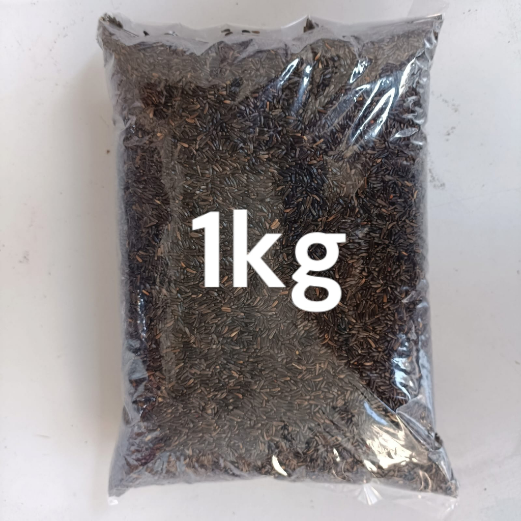 NIGER SEED BIJI NIGER PAKAN BURUNG KENARI BLACKTHROAT RED SISKIN LOVE BIRD 1KG