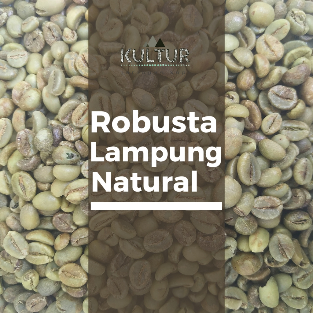 

GREEN BEAN ROBUSTA LAMPUNG NATURAL BIJI KOPI MENTAH NETTO 1 KG