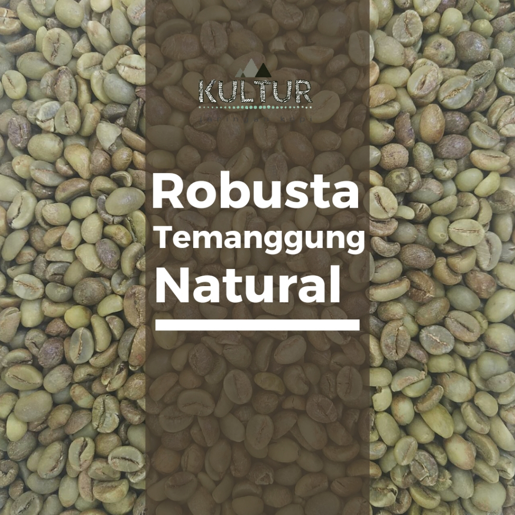 

GREEN BEAN ROBUSTA TEMANGGUNG NATURAL BIJI KOPI MENTAH NETTO 500 GR