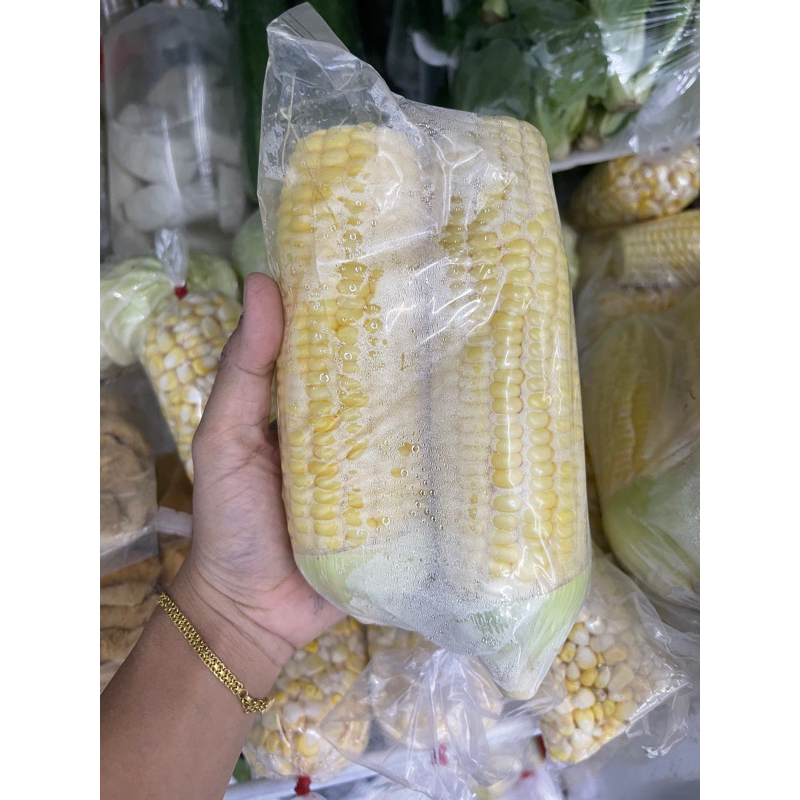 

JAGUNG ISI 3