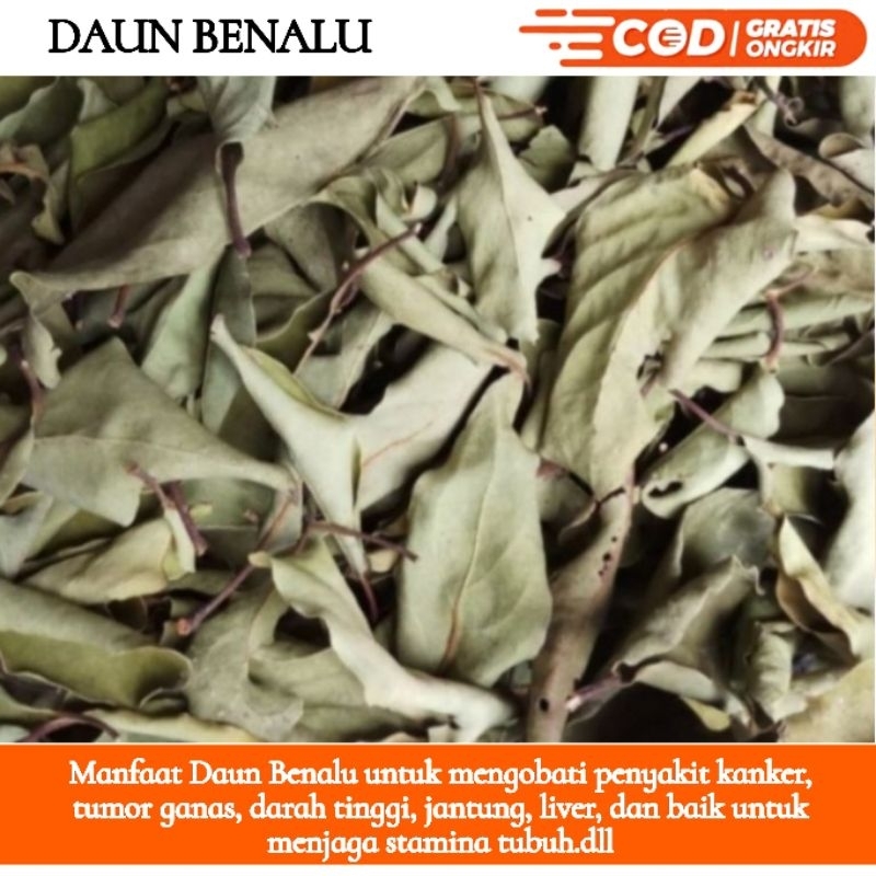 

RL Daun benalu kering 1kg