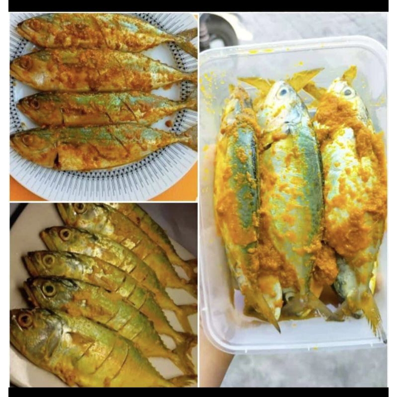 

IKAN KEMBUNG FRESH BUMBU KUNING berat 350gram