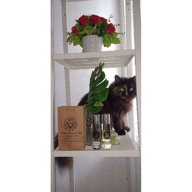 Meigians Fragrance by IN PARFUM BANDUNG