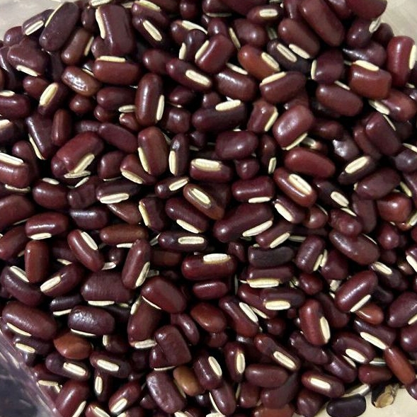 

Kacang Es Import Thailand / Kacang Merah uk 1000 GR