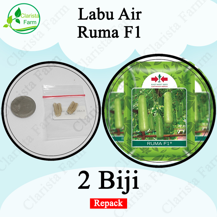 Benih Bibit Labu Air Ruma F1 Repack Cap Panah Merah