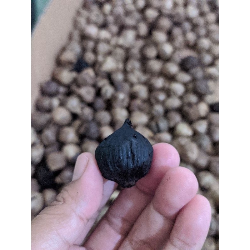 

Bawang hitam 200gr kering