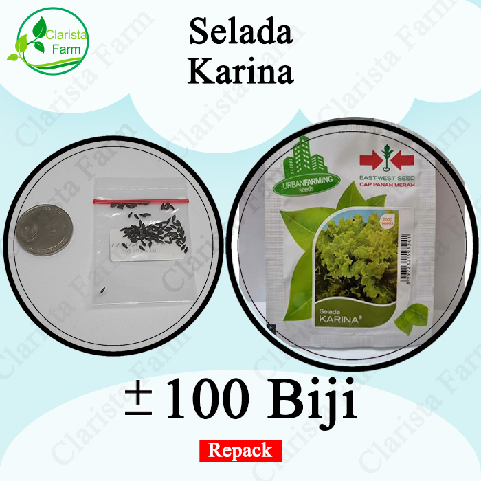 Benih Bibit Selada Karina Repack Cap Panah Merah