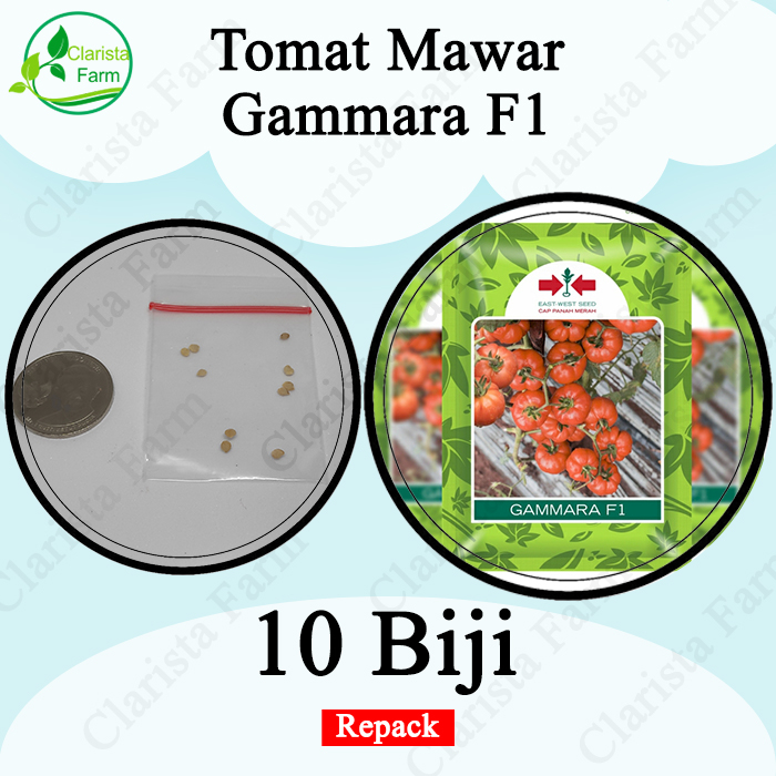 Benih Bibit Tomat Mawar Gammara F1 Repack Cap Panah Merah