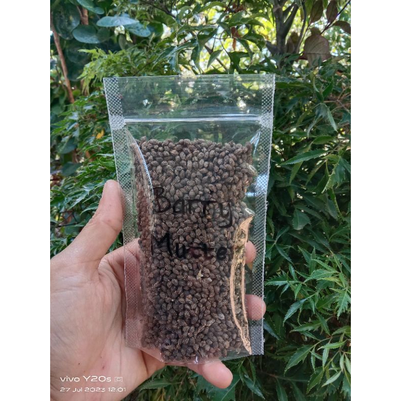 

#COD BIJI PEPAYA KATES KERING HERBAL/HERBAL DRIED PAPAYA SEEDS