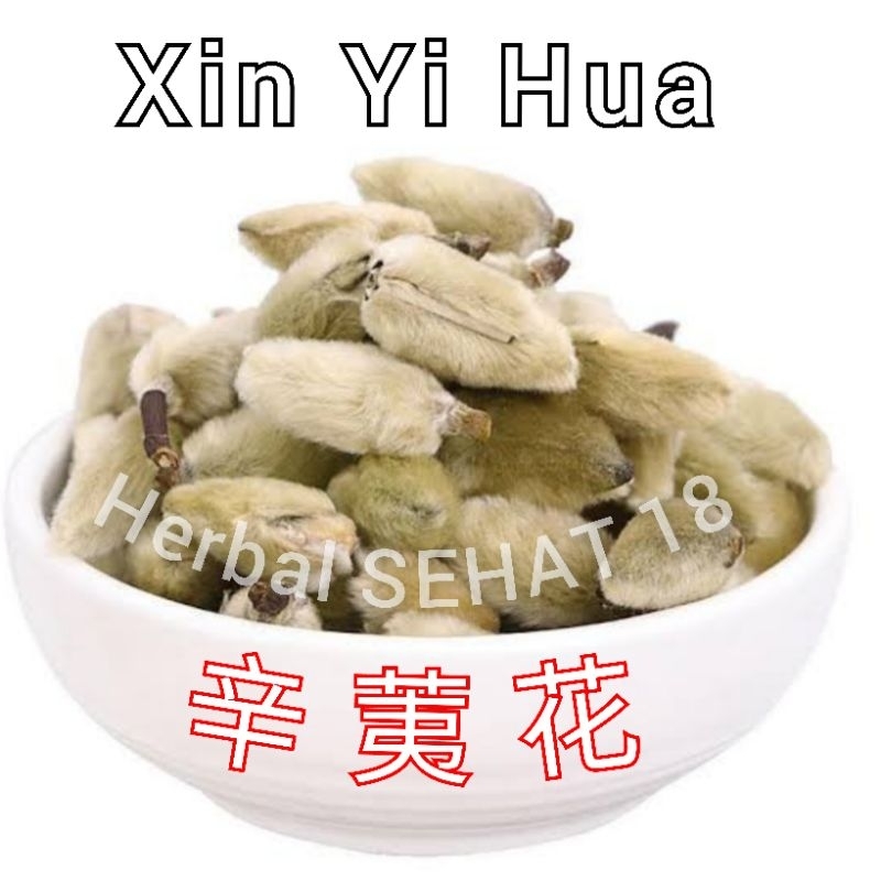 

Xin Yi Hua 辛夷花 Magnolia Flower Flos Magnoliae Lilliflorae