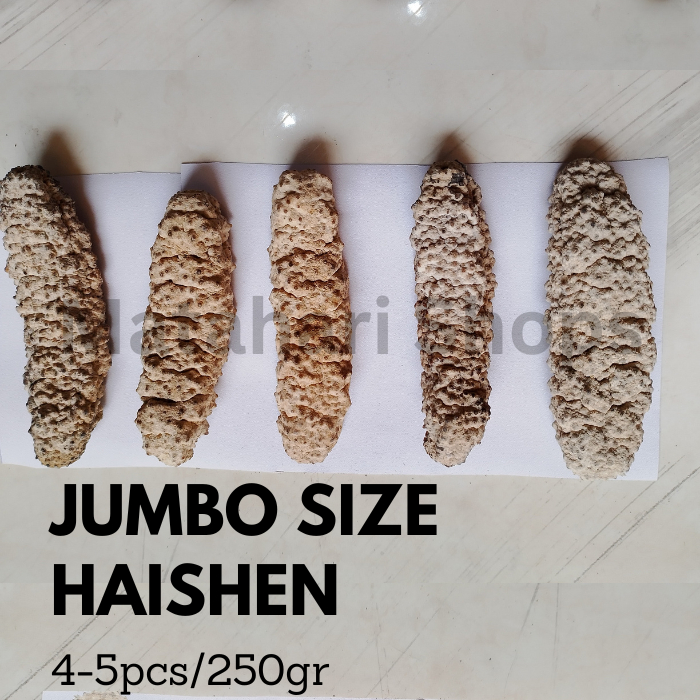 

Haishen Ginseng Laut Teripang Gamat Kering Kualitas Eksport Jumbo Size