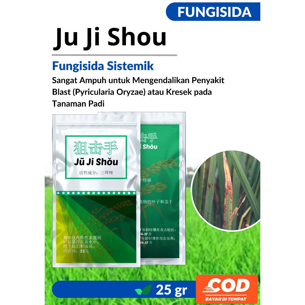 Atasi BLAS Pada Tanaman Padi Fungisida Ju Ji Shou