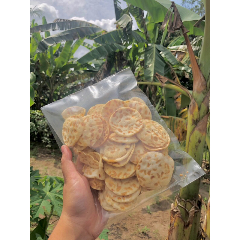 

Keripik Tempe NDOK AYU