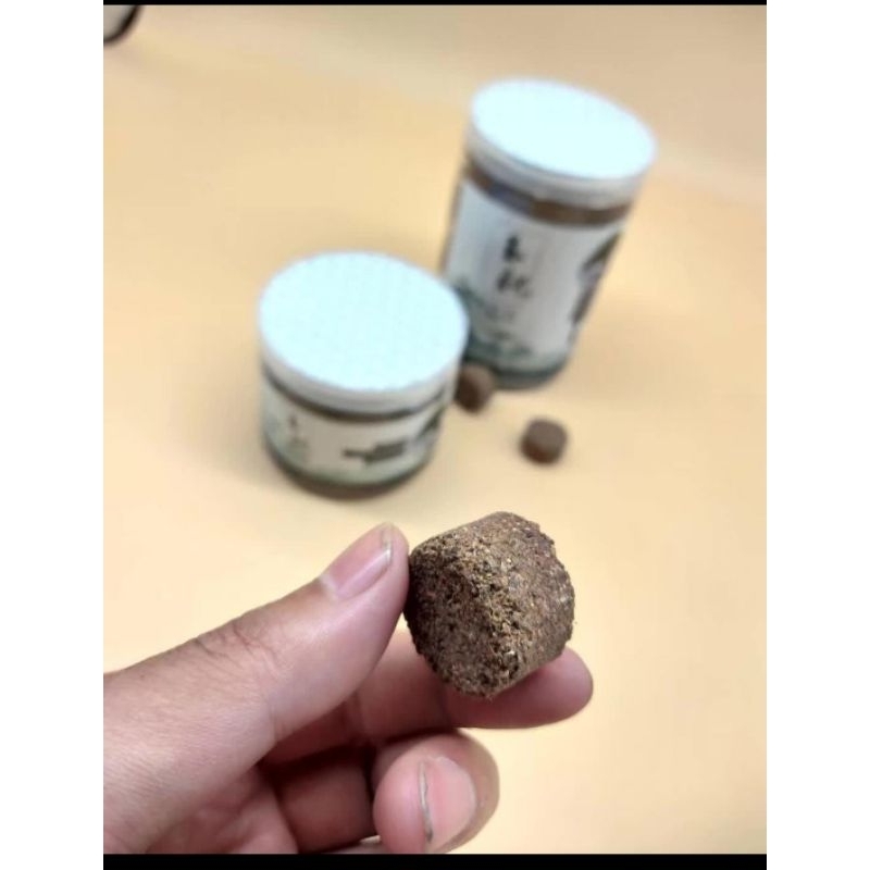 Pupuk Organik Slow Release Tablet Import