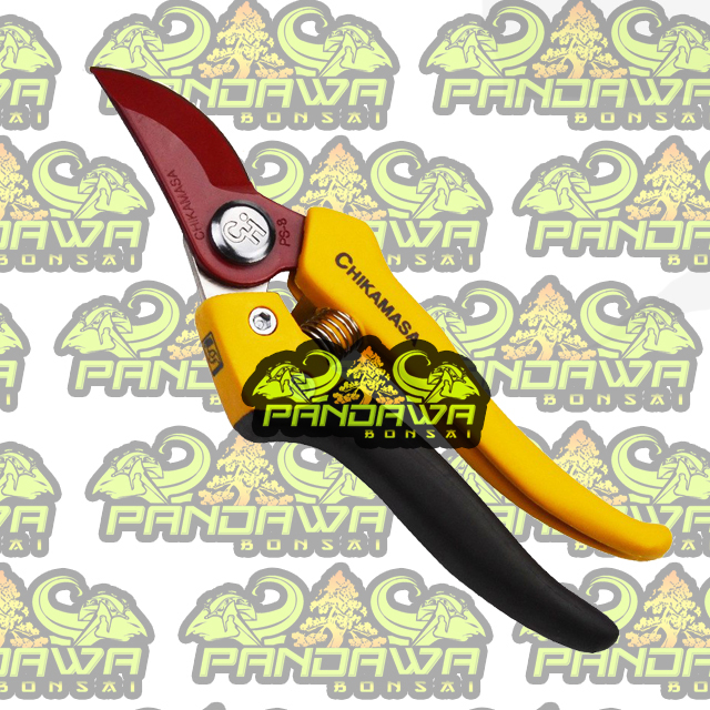 PANDAWA BONSAI-ALAT BONSAI Alat bonsai,gunting dahan chikamasa original japan