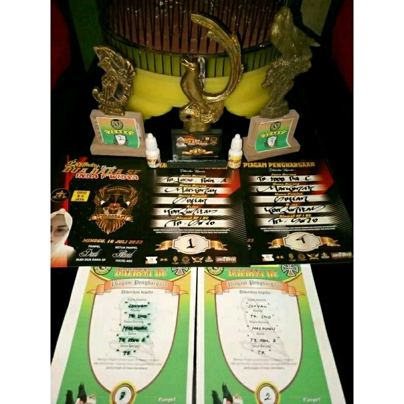 doping lomba burung trucuk