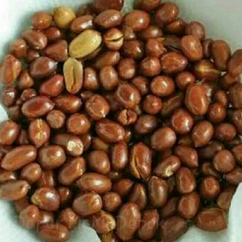 

Kacang Asin 1kg