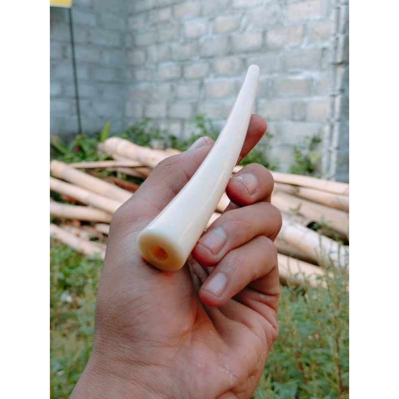 once TULSAP mirip iga duyung (super tebal+kristal)