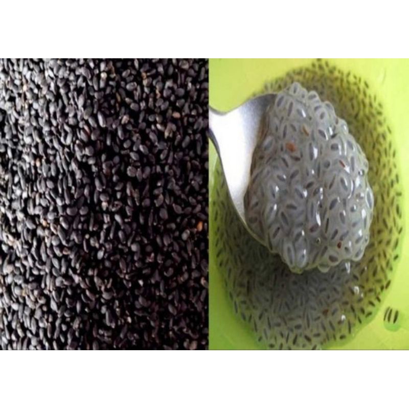 

Basil seed import / Biji selasih premium
