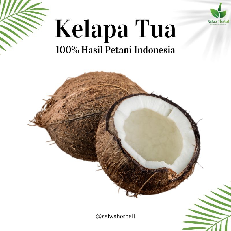 

Kelapa tua utuh sudah dikupas