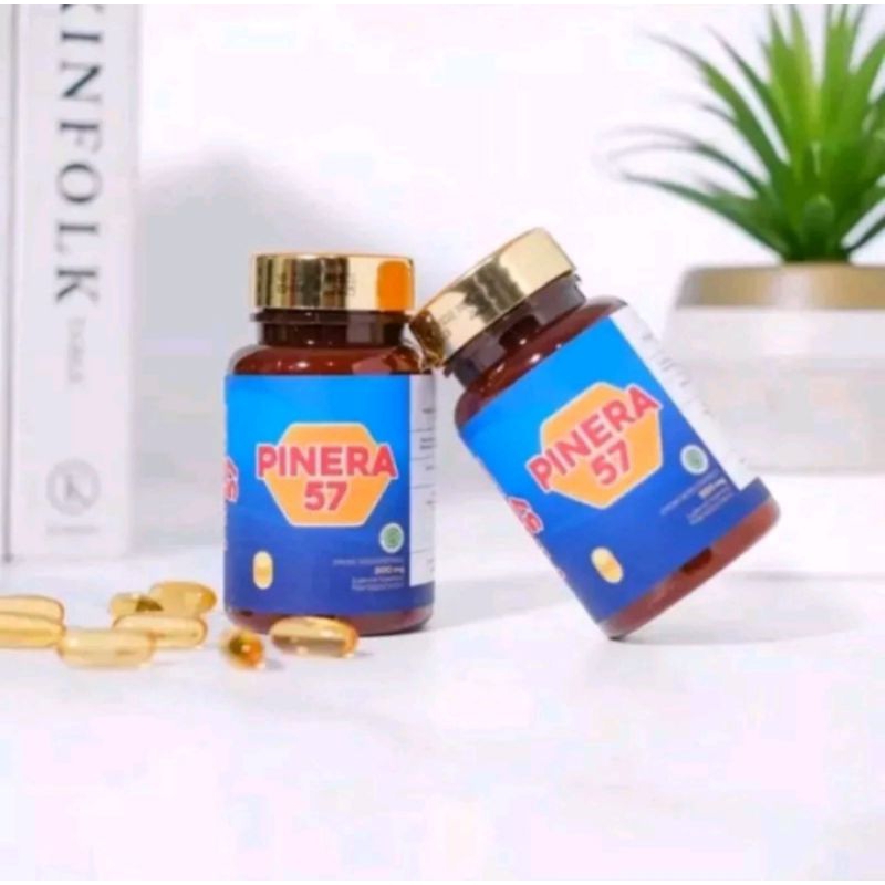 Pinera 57 Original Pinus Merah Korea