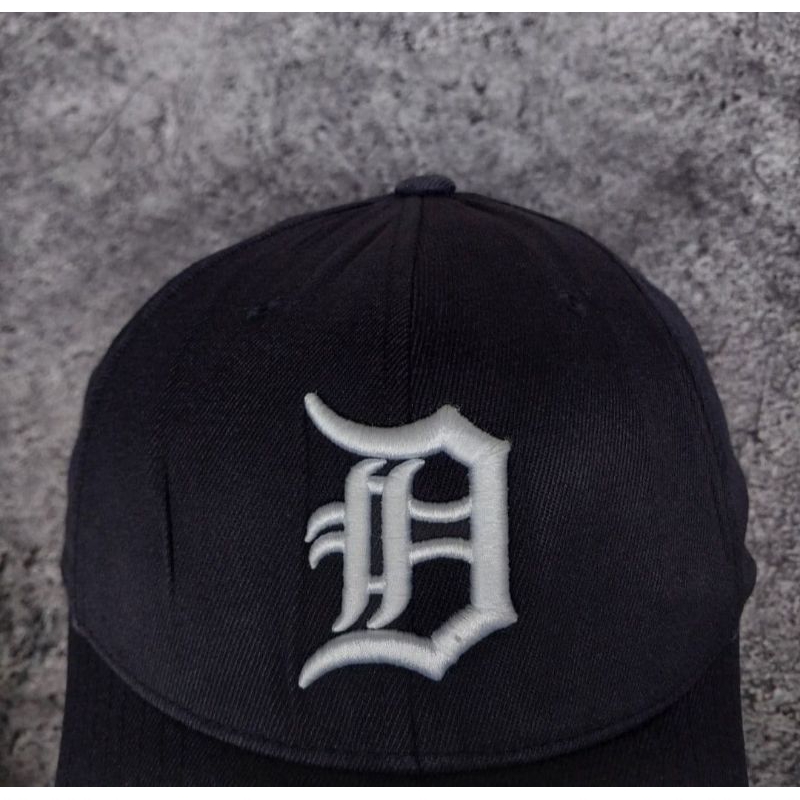 MLB,Detroit tiger team