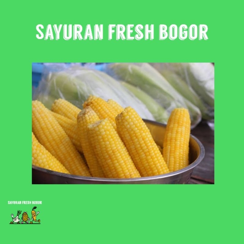 

Jagung Manis Kupas ( 500 Gram ) | Sayuran Fresh Bogor