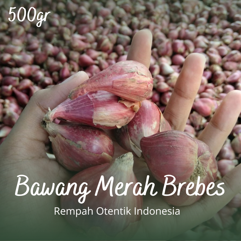 

Bawang Merah Brebes Super Jumbo 500gr