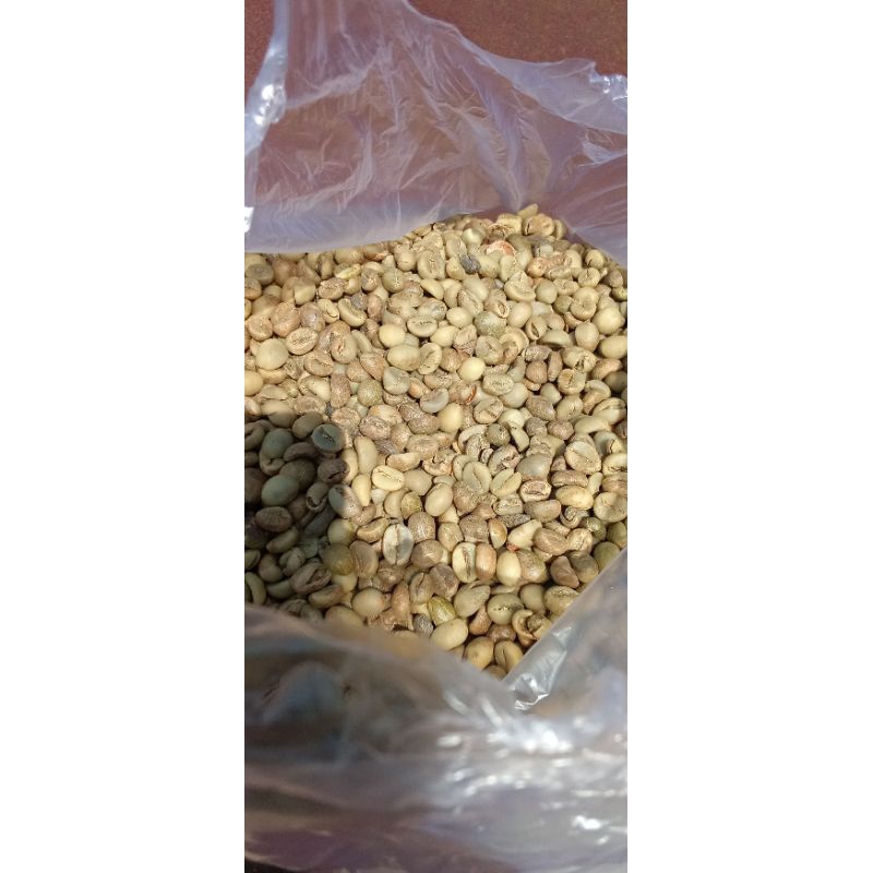 

Biji Kopi Robusta (Robusta Coffee Bean)