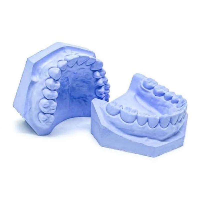 Model Studi Gigi Gipsum (Dental Study Model)