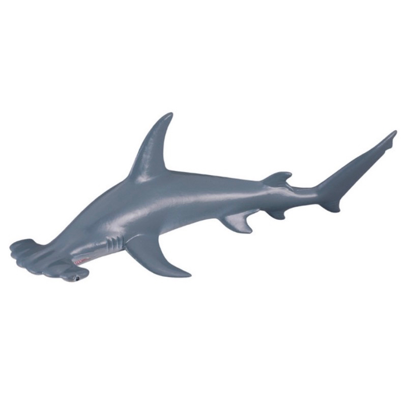 collecta Figurine Scalloped hammerhead shark