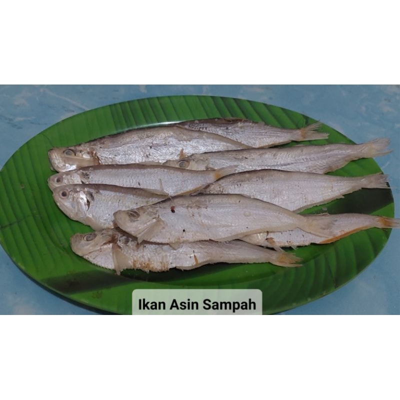 

IKAN ASIN SAMPAH 1 KG