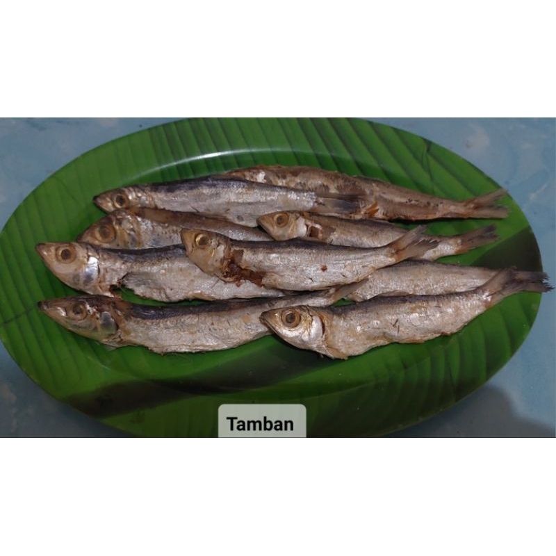 

IKAN ASIN TAMBAN 1KG