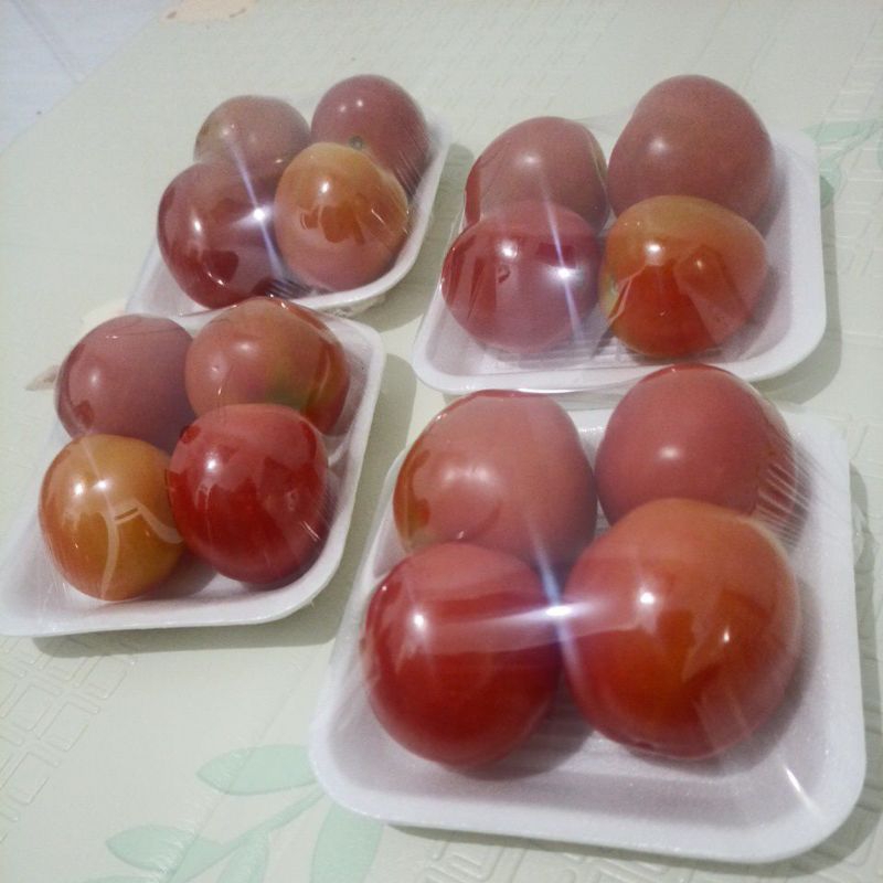 

Tomat