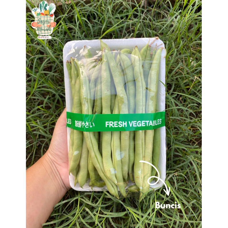 

KIRIM INSTAN BUNCIS SEGAR | BUNCIS