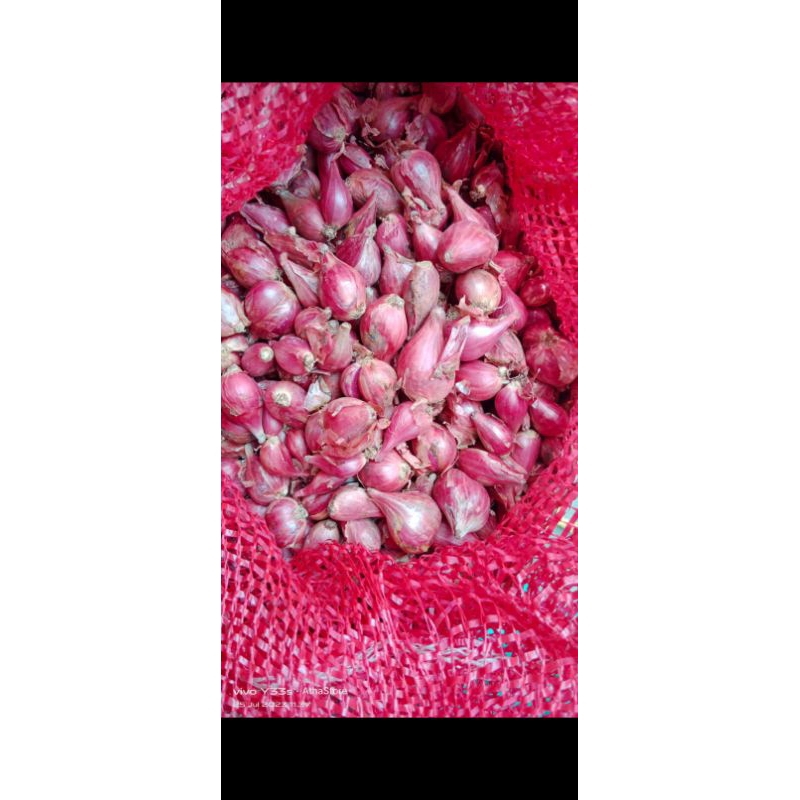 

Bawang Merah 1kg