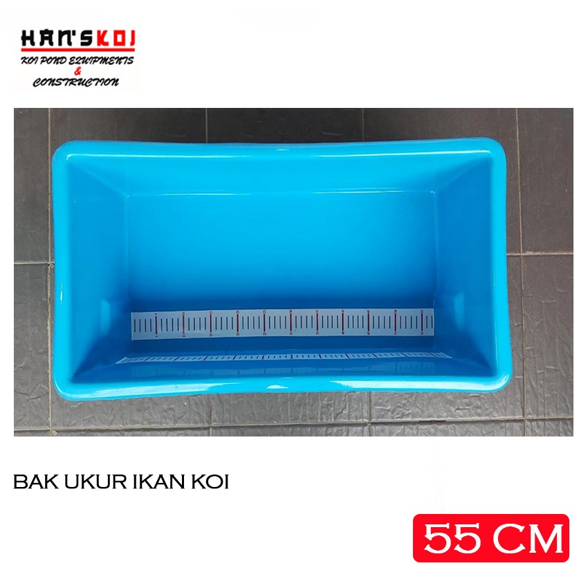 BAK UKUR IKAN KOI 55 Cm