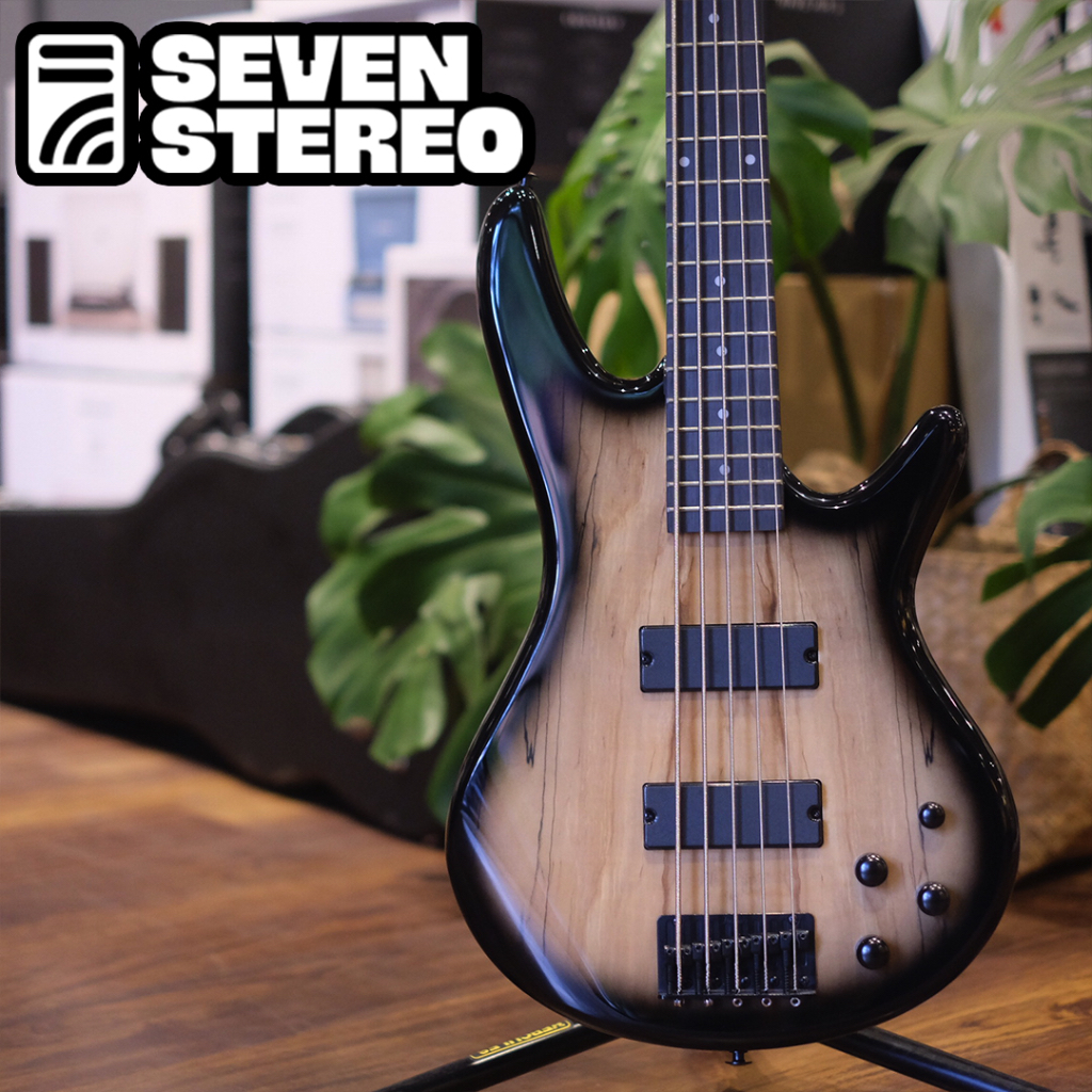 Ibanez GSR205SM NGT 5 String Electric Bass Guitar, Natural Gray Burst