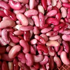 

Kacang Merah Rp.7.500 (250 Gram)
