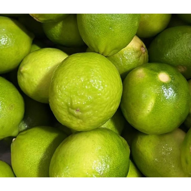 

Jeruk Nipis lime - 1kg