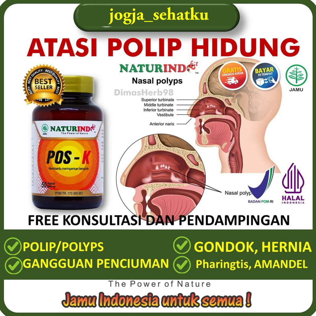 Obat Sinus Sinusitis Polip Hidung Pembengkakan Kelenjar POS-K Naturindo