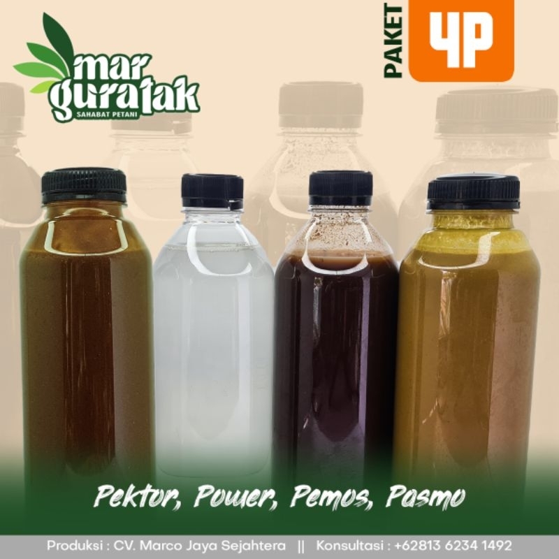 PAKET PASMO PEMOS PEKTOR POWER