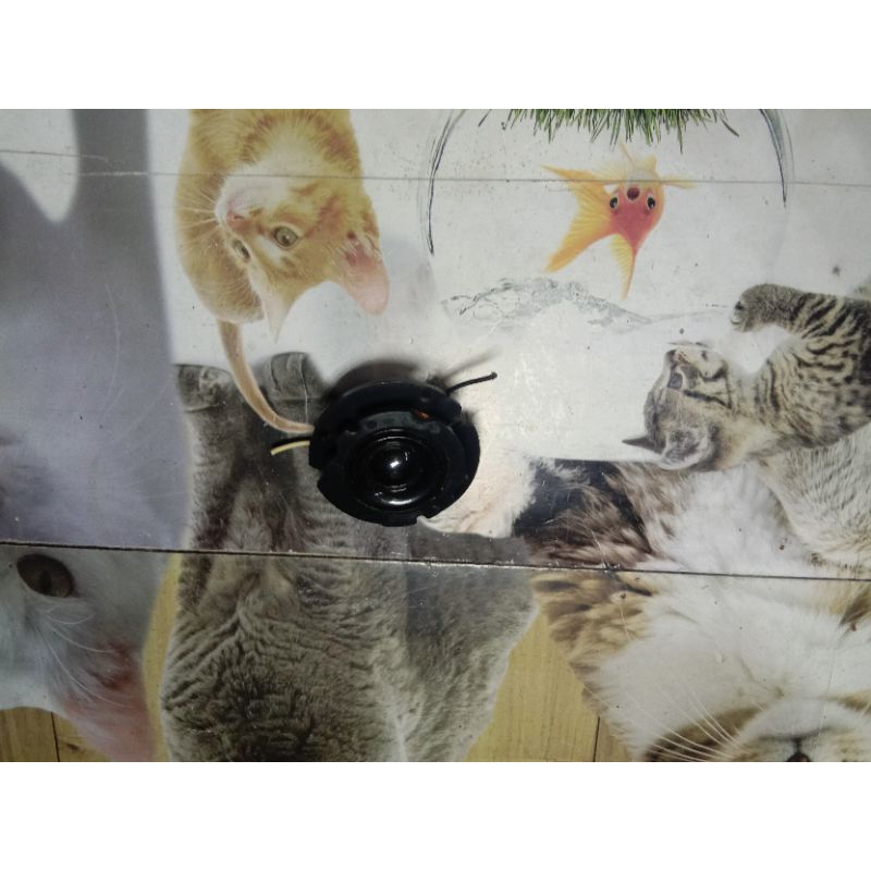 tweeter original polytron XBR