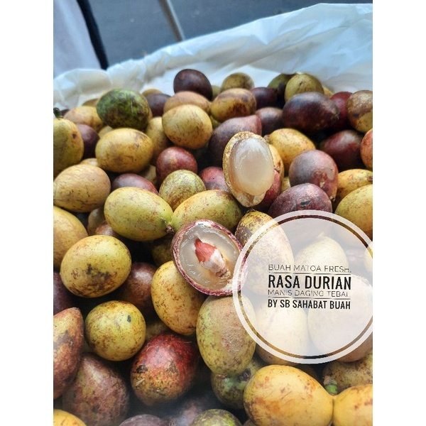 

QUEEN BUAH - BUAH MATOA FRESH MANIS SEGER RASA DURIAN