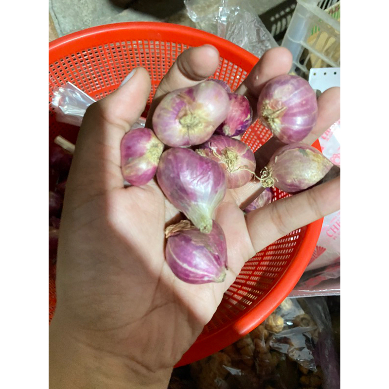 

brambang super mentah besar 1/4 1/2 1kg