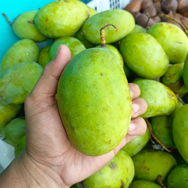 

Mangga kueni 1000 gr