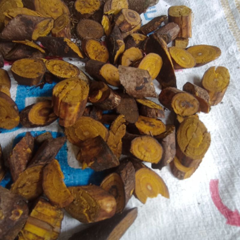 

AKAR KI KUNING/AKAR KIKONENG /ATAU AKAR BAJAKAH KUNING SEGAR IRIS 500 GRM AKAR KIKUNING SEGAR